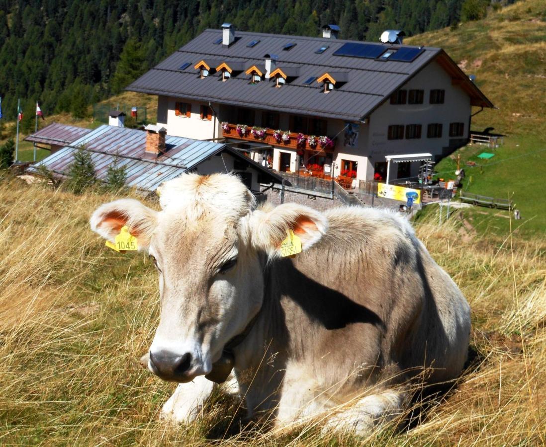 Rifugio Capanna Passo Valles Falcade Exterior photo